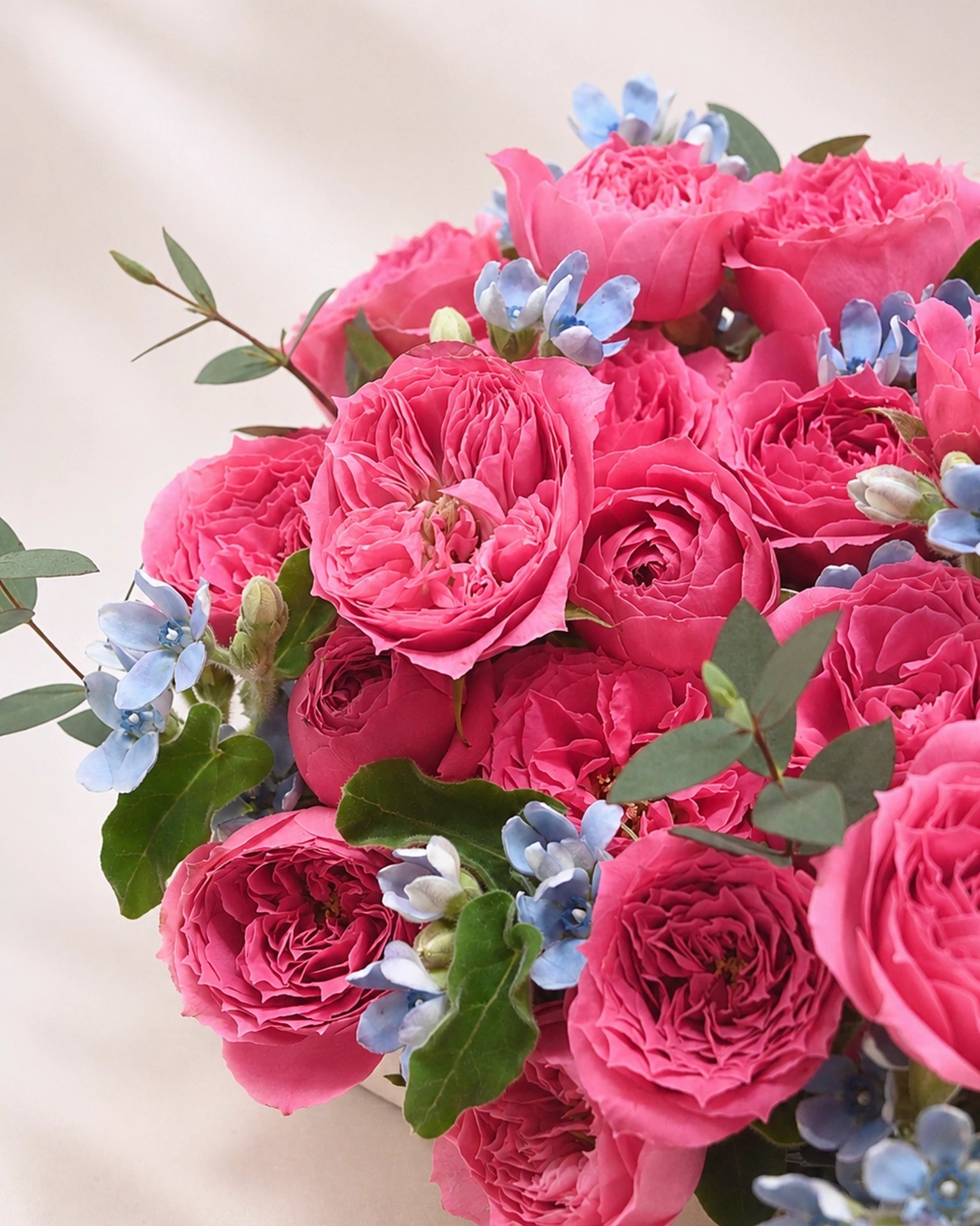 Serene Haven 西營盤花店 - Petite Rosé mini flower box 鮮艷桃粉色小玫瑰與浪漫粉藍色襯花特寫