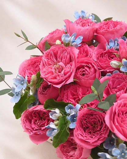 Serene Haven 西營盤花店 - Petite Rosé mini flower box 鮮艷桃粉色小玫瑰與浪漫粉藍色襯花特寫