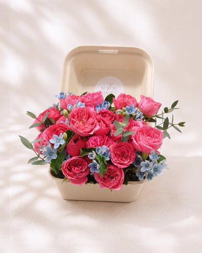 Serene Haven 西營盤花店 - Petite Rosé 萬用送禮 mini flower box 獨特環保便當餐盒鮮花包裝細節