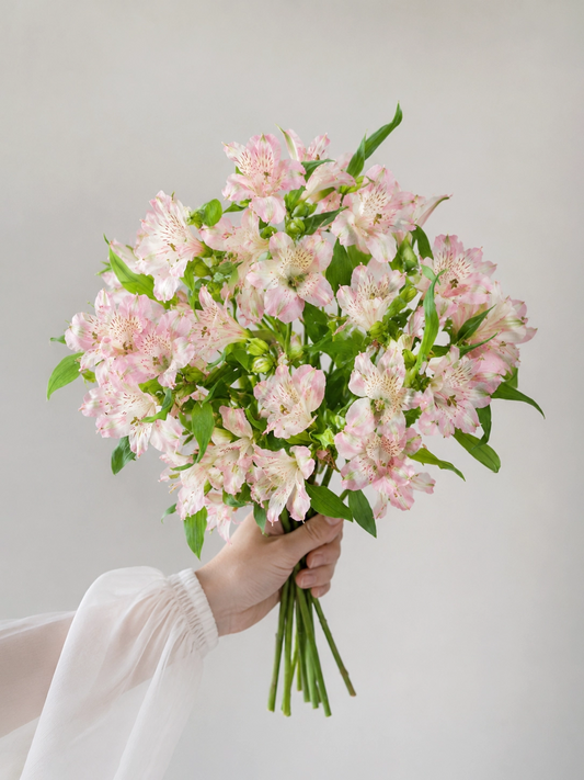 Pink Alstroemeria｜粉紅六出花，花瓣細緻柔美，為花束增添優雅與浪漫氣息。