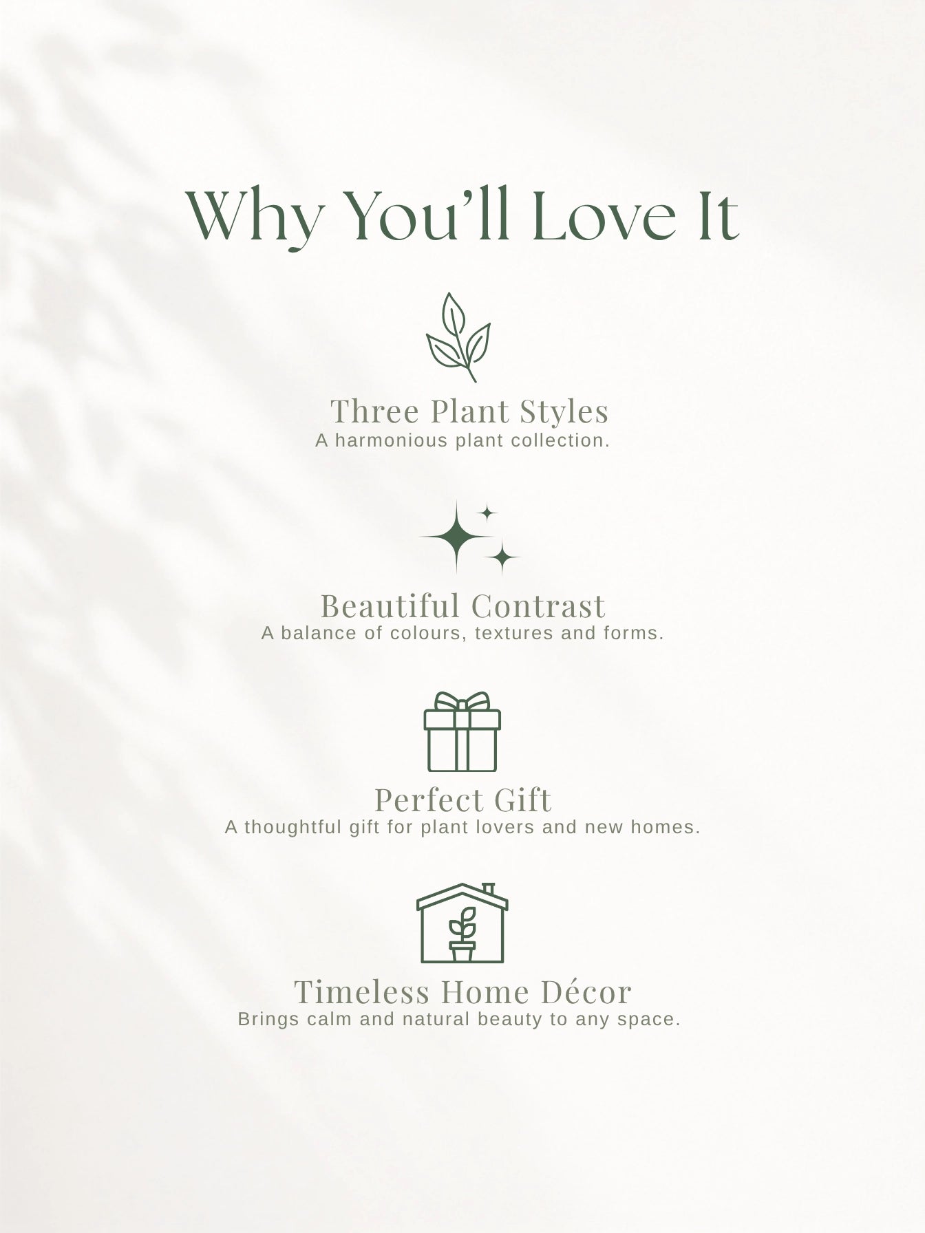 Three plant styles、Beautiful contrast、Perfect Gift，打造自然又有層次嘅 home décor