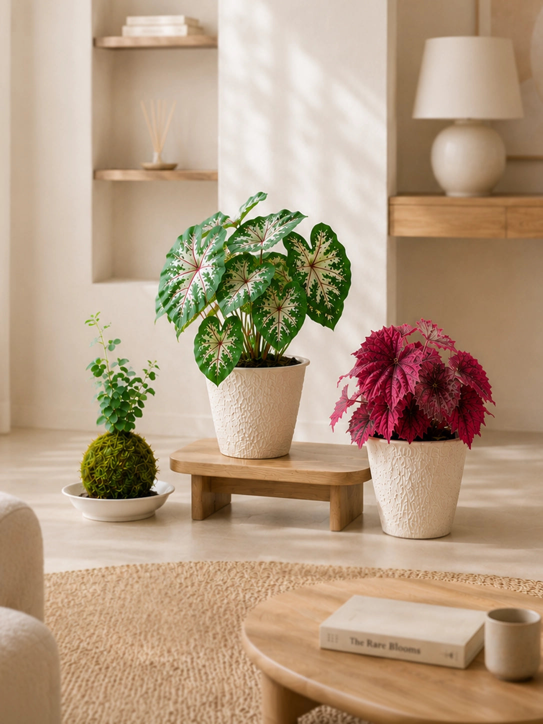 Kokedama、Caladium 同 Begonia 擺放於 living room，營造自然植物角落