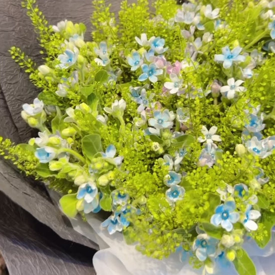 Midnight Whispers bouquet 360° video, 藍白花束多角度展示, elegant tweedia and freesia bouquet Hong Kong
