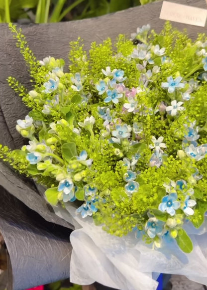 Midnight Whispers bouquet 360° video, 藍白花束多角度展示, elegant tweedia and freesia bouquet Hong Kong