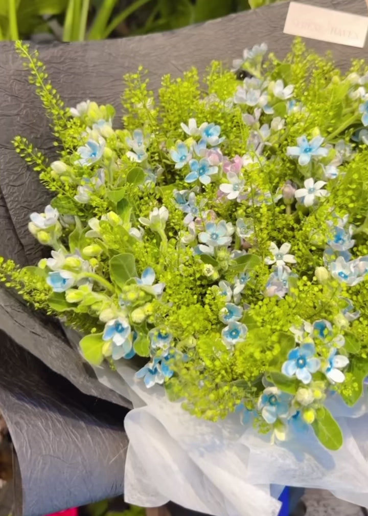 Midnight Whispers bouquet 360° video, 藍白花束多角度展示, elegant tweedia and freesia bouquet Hong Kong