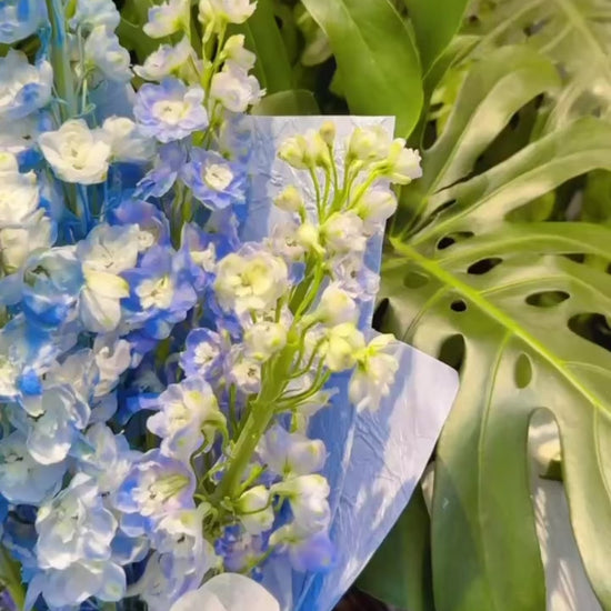 Serene Haven - Azure Breeze Bouquet 藍色清新花束動態展示