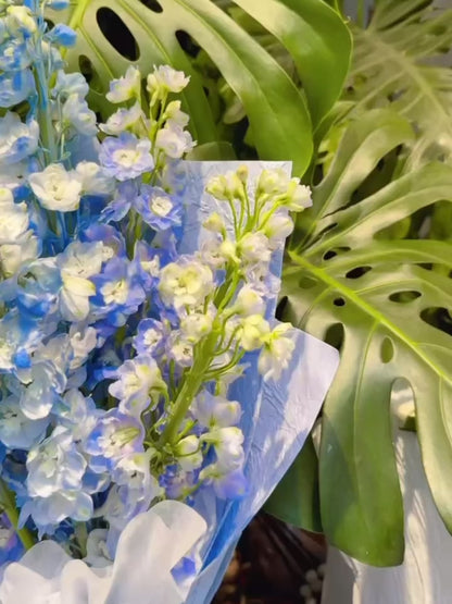 Serene Haven - Azure Breeze Bouquet 藍色清新花束動態展示