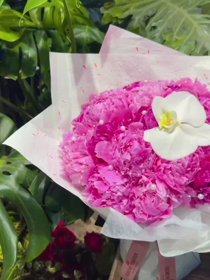 Peony Pearl
