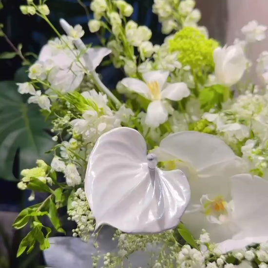 Serene Haven 西營盤花店 - Chapter of Eternity flower box 奢華圓形盒子花純白蝴蝶蘭與白掌短片展示