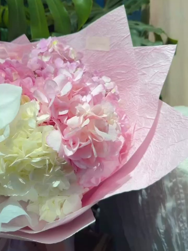 Serene Haven - Ocean Whisper Best Seller Bouquet 粉色款繡球蘭花束動態展示