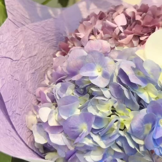 Serene Haven - Ocean Whisper Best Seller Purple Bouquet 紫色款繡球蘭花束動態展示