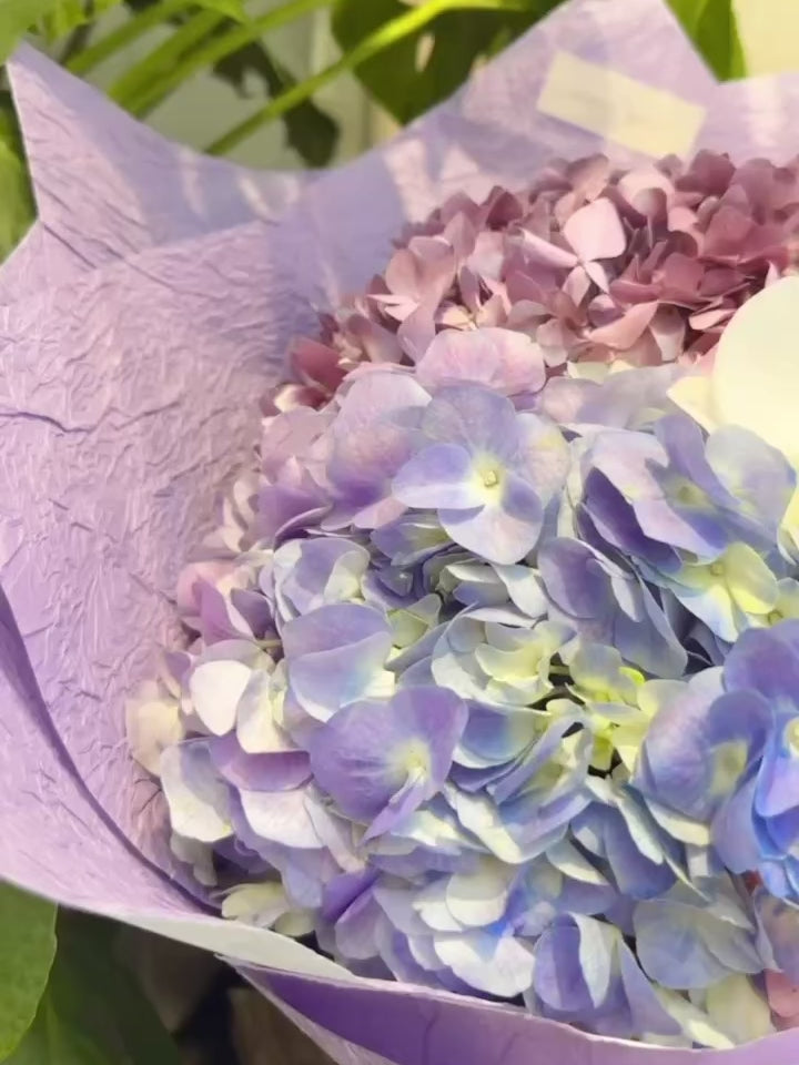 Serene Haven - Ocean Whisper Best Seller Purple Bouquet 紫色款繡球蘭花束動態展示
