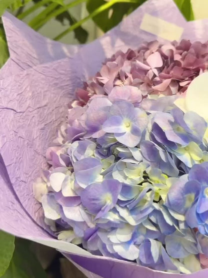 Serene Haven - Ocean Whisper Best Seller Purple Bouquet 紫色款繡球蘭花束動態展示