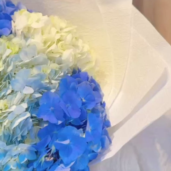 Serene Haven - Ocean Whisper Best Seller Bouquet 繡球蘭花束動態展示 情人節週年紀念首選