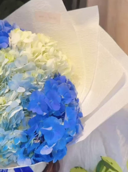 Serene Haven - Ocean Whisper Best Seller Bouquet 繡球蘭花束動態展示 情人節週年紀念首選
