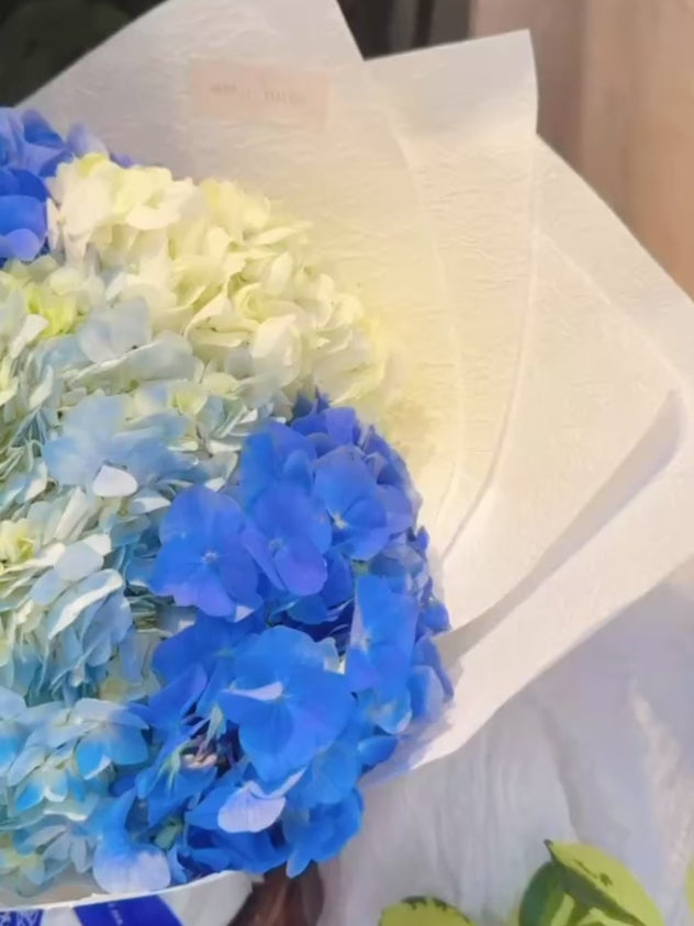 Serene Haven - Ocean Whisper Best Seller Bouquet 繡球蘭花束動態展示 情人節週年紀念首選