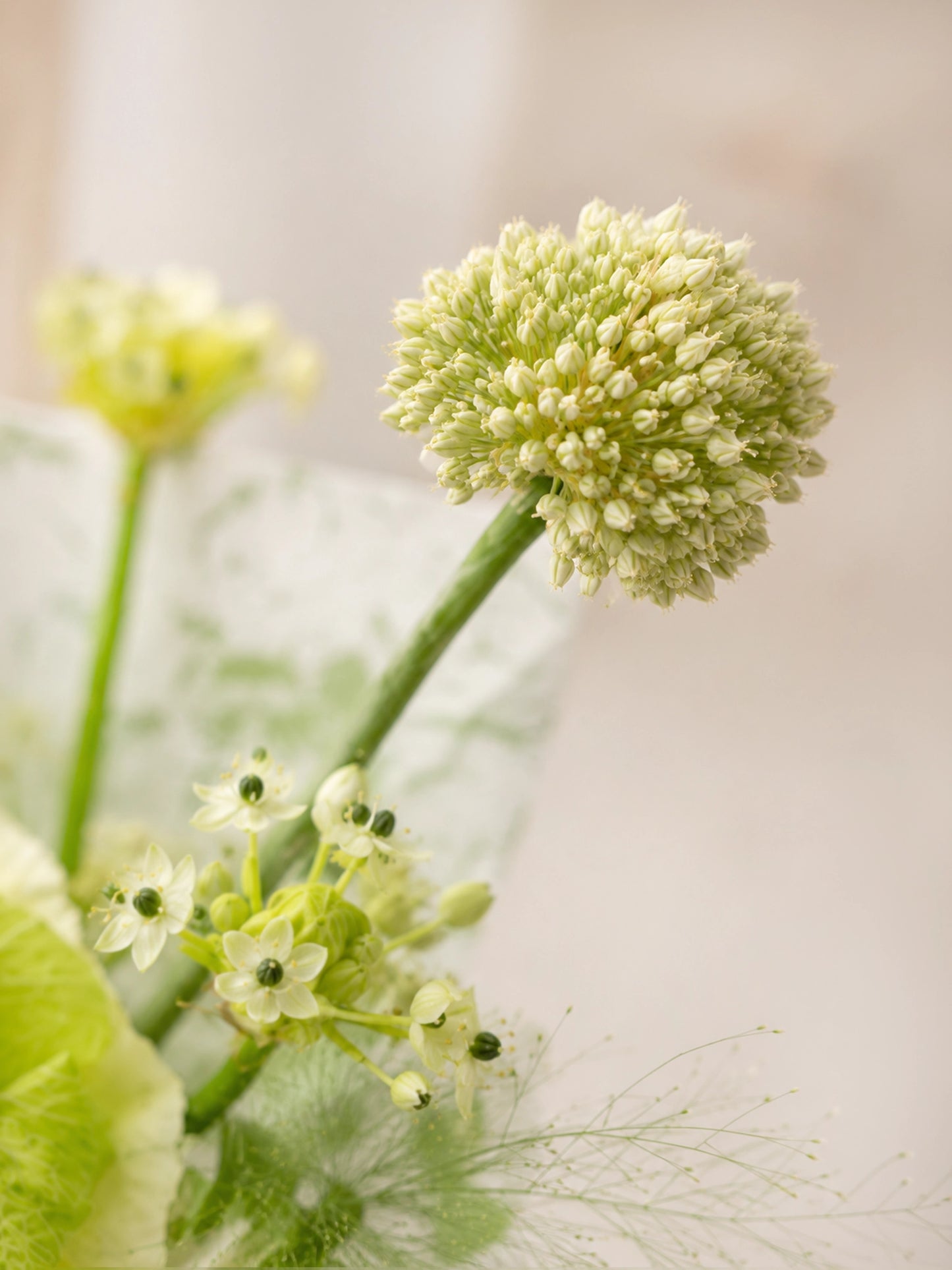 Quiet Bloom 花束細節｜Allium 蔥花及綠白色花材 close-up，展現自然層次美感