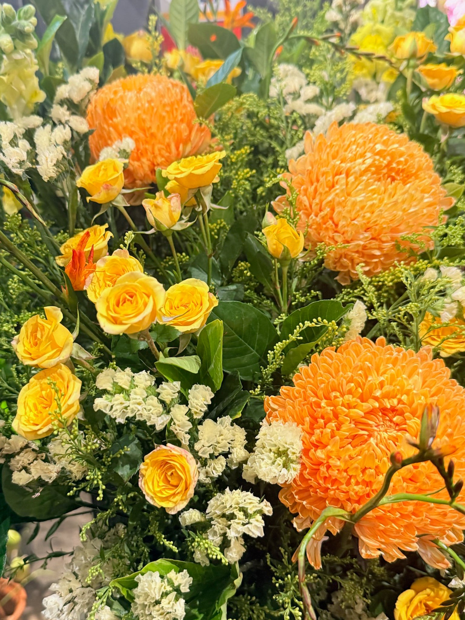 Sunrise Glory close-up｜大型橙色 pompon blooms 與黃色小玫瑰