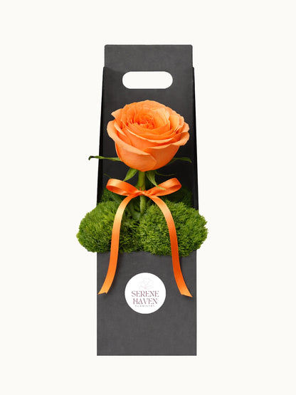 The Chosen One 單枝橙色漸變玫瑰禮盒，fresh rose gift box