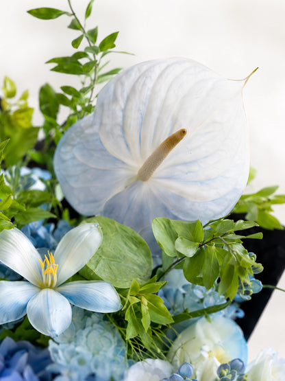 Twilight Voyage white anthurium 特寫，配搭淡藍花材、green foliage 及黑色包裝
