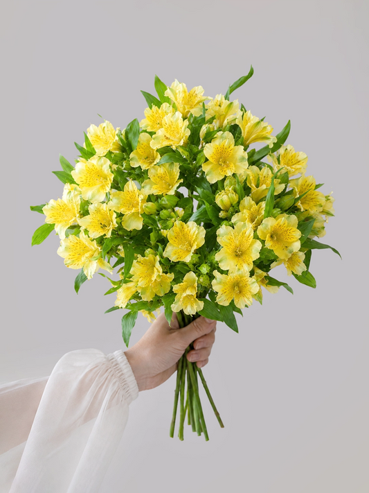 Yellow Alstroemeria｜黃色六出花，色彩明亮溫暖，為花束增添活力與陽光氣息。
