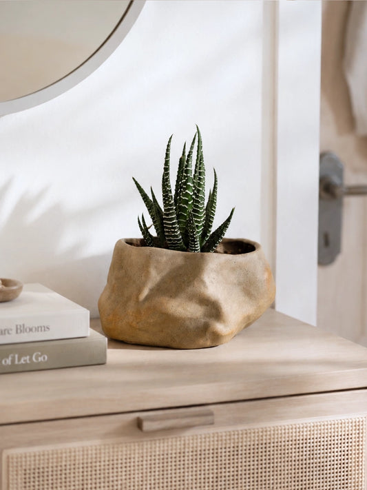 Zebra Whisper Haworthia｜斑馬耳語十二卷 displayed in an artisan ceramic planter on a minimalist wooden console table, soft morning daylight creating a calm and serene modern home atmosphere.